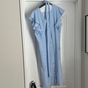 Light Blue Polka Dot Dress with Ruffle Sleeves